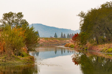 Fototapeta premium autumn in the park