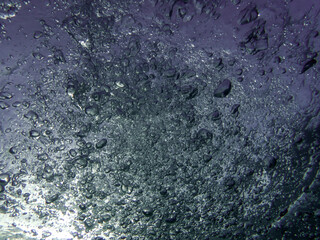 bubbles, bubbles undersea, undersea, green water, underwater, crystal sea, background, sea, bubble, bubbles underwater, water, blue, ocean, mediterranean, light, diving, backdrop, air, marine, aqua.