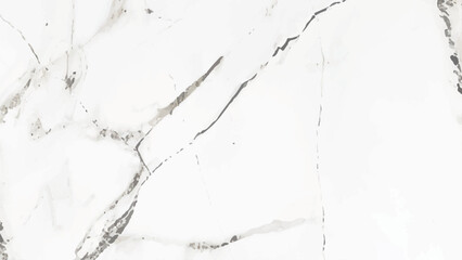 white elegant marble background. white marble pattern waxed finish natural veins image use for tile slab design
