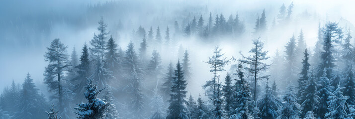 Long exposure of swirling fog among fir trees, with a subdued retro color scheme.