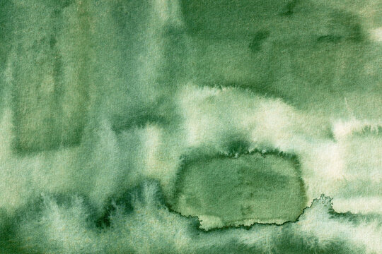 Green background natural textures. Backdrop for design