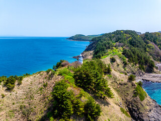 Obraz premium 夏泊半島 大島（青森県平内町）