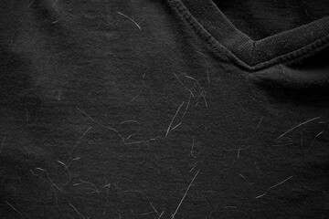 Pet hair on clothes. Cat hair on T shirt. How to remove pet hair from fabric concept. 