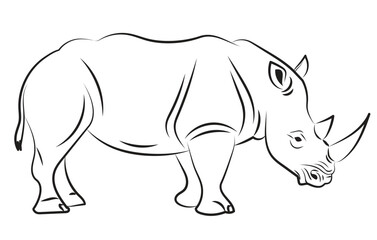 A flawlessly drawn Rhinoceros line drawing in Adobe Illustrator features soft curves and a clear creative expression.