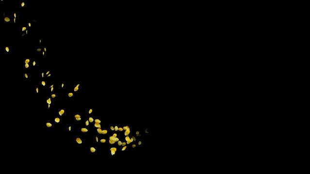 黄色い薔薇の花びらが奥から手前に流れるラインパーティクル　3種類　アルファチャンネル
