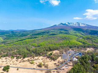 Fototapeta premium 八甲田山 萱野高原（青森県）