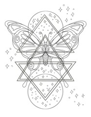 butterfly insects triangle magic tarot harmony geometry symbol abstraction hand drawn background logo coloring