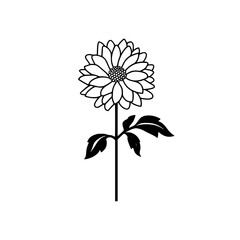 chrysanthemum flower vector, black and white