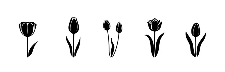 tulip flower vector. black and white concept