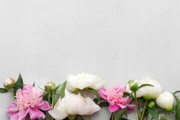Pink and white peonies on a gray background. Minimalism. Top view. Space for text.