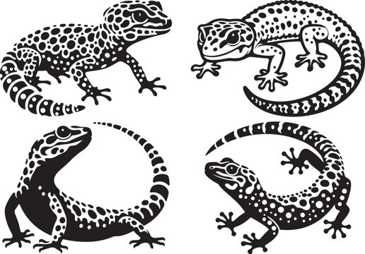 gecko outline clipart