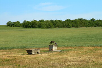 A group of people sitting on a bench in a field