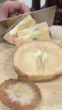 Chrysophyllum cainito Also known cainito, caimito, tar apple, star apple, purple star apple, golden leaf tree, abiaba, pomme de lait Golden leaf tree. Star apple fruits