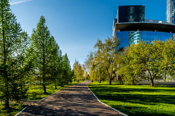 A walking path for walking in the city among the trees.