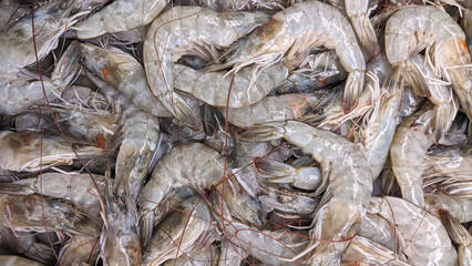 A detailed close-up of raw shrimps, showcasing their natural grey texture and freshness