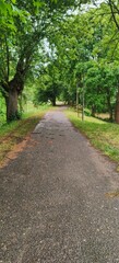 path in the park