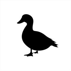 Goose silhouette solid icon vector. Farm goose icon. Livestock concept. White meat sign on white background. Goose meat badge. Goose illustration. Butcher logo © Богдан Салюк