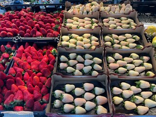 Fruits  at Mercado do Bolhao. Bolhao Market stands as a testament to the Porto rich history and culinary heritage.