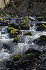 Fototapeta premium a forest stream flows between moss-covered stones