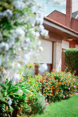 house with flowers