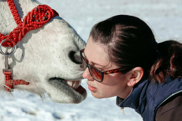 White horse with a red bridle kisses a woman in sunglasses in winter