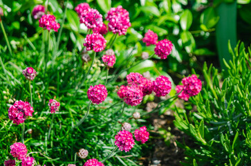 Düsseldorfer Stolz.