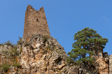 The complex of Ingush defense watchtowers Vovnushki. Guloikhi gorge. The Republic of Ingushetia....