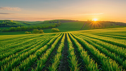 A wideangle photo of an idyllic rural landscape with green fields and terraced hills in the background