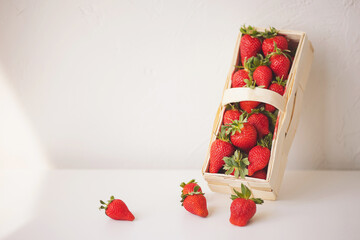 picked strawberries in a basket. Harvest of garden strawberries. Red ripe strawberries in a basket...