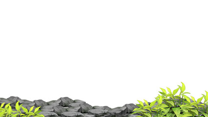 green grass and stones frame