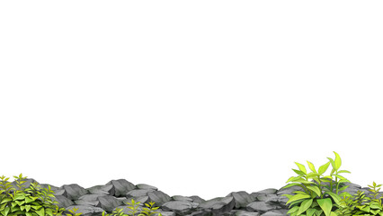 green grass and stones frame