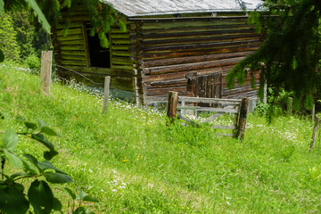 altes Bauernhaus eingezäunt am Waldrand