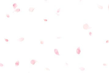 背景素材_水彩花吹雪_桜