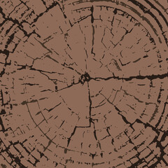 Obraz premium Tree bark illustration square background