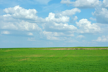 Green grass and cloudy skies. Minimal landscape photo. Simple background with nature theme.