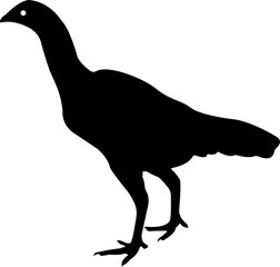 Hen Cock Chicken Silhouette Animal