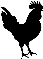 Hen Cock Chicken Silhouette Animal