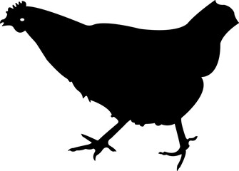 Hen Cock Chicken Silhouette Animal