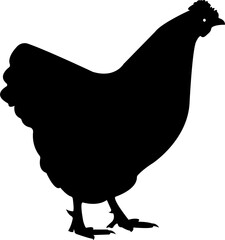 Hen Cock Chicken Silhouette Animal