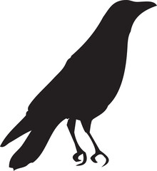 Flying Bird Silhouette