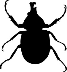 Beetle Silhouette Insect Animal