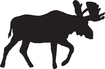Deer Silhouette  Animal