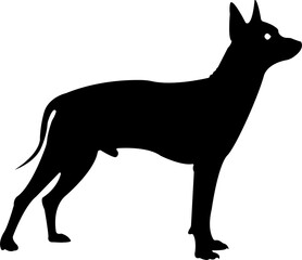 Dog Wolf Silhouette 