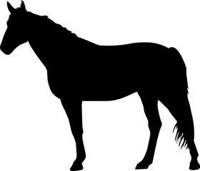 Silhouette Horse Illustration 