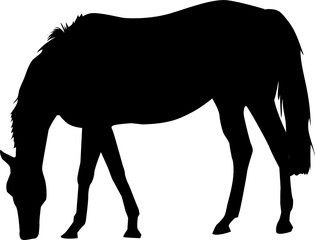 Silhouette Horse Illustration 