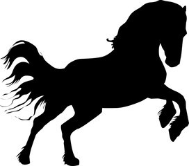 Silhouette Horse Illustration 