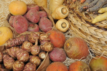 Légumes anciens