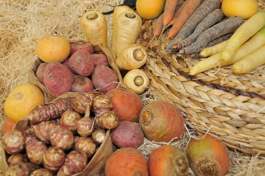 L&eacute;gumes anciens