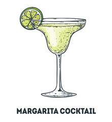 Margarita cocktail illustration. Hand drawn sketch. Vector illustration. Isolated object.