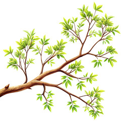 A tree branch on a white background.AI GENERATED